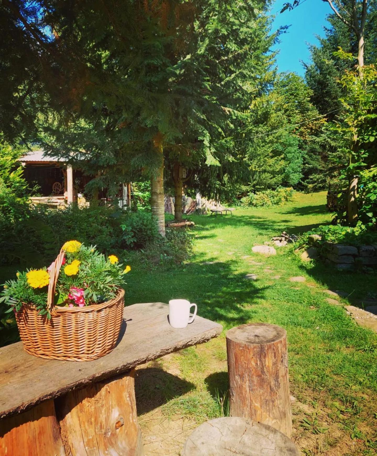 Apartamenty U Janka Krynica Zdroj Exterior foto